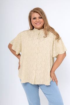 Picture of CURVY GIRL EMROIDERED BLOUSE